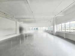 Perfect One (D13), Warehouse #555022441